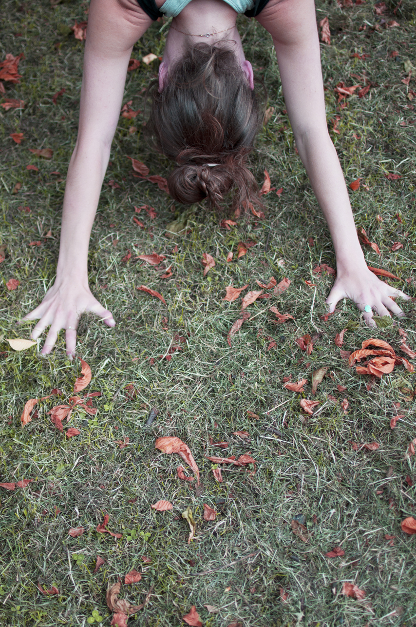 Rest into Autumn